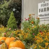 Ford Farm Market photo