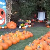Ford Farm Market photo