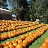 Ford Farm Market photo