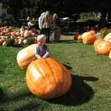 Ford Farm Market photo