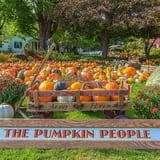 Ford Farm Market photo