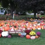 Ford Farm Market photo