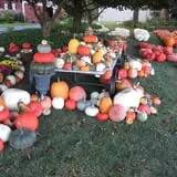 Ford Farm Market photo