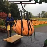 Ford Farm Market photo