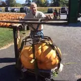 Ford Farm Market photo