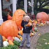 Ford Farm Market photo