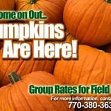 Bradley's Pumpkin Patch photo