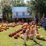Bradley's Pumpkin Patch photo