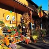 Didier Farms Pumpkinfest photo