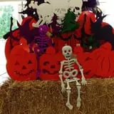 Didier Farms Pumpkinfest photo