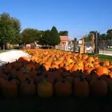 Didier Farms Pumpkinfest photo