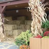 Didier Farms Pumpkinfest photo
