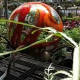 Didier Farms Pumpkinfest photo