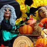 Didier Farms Pumpkinfest photo