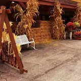 Didier Farms Pumpkinfest photo
