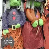 Didier Farms Pumpkinfest photo