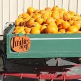 Didier Farms Pumpkinfest photo