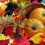 Didier Farms Pumpkinfest photo