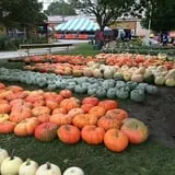 Didier Farms Pumpkinfest photo