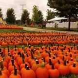 Didier Farms Pumpkinfest photo