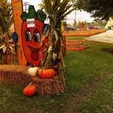 Didier Farms Pumpkinfest photo