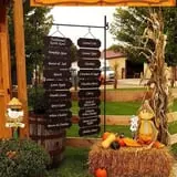 Didier Farms Pumpkinfest photo