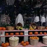 Didier Farms Pumpkinfest photo