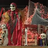 Didier Farms Pumpkinfest photo