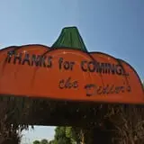 Didier Farms Pumpkinfest photo