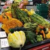 Didier Farms Pumpkinfest photo
