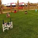 Didier Farms Pumpkinfest photo