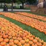 Didier Farms Pumpkinfest photo