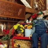 Didier Farms Pumpkinfest photo