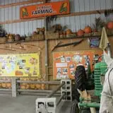 Didier Farms Pumpkinfest photo