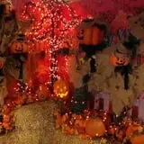 Didier Farms Pumpkinfest photo