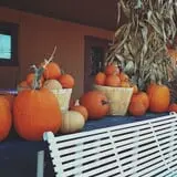 Didier Farms Pumpkinfest photo