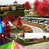Didier Farms Pumpkinfest photo