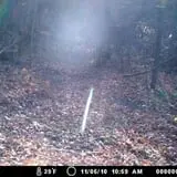 Milwaukee Ghost Tours photo