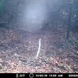 Milwaukee Ghost Tours photo