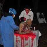 Fright Hike at Lapham Peak State Park photo