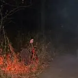 Fright Hike at Lapham Peak State Park photo