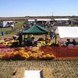 Relleke Pumpkin Patch photo