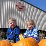 Relleke Pumpkin Patch photo