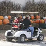 Relleke Pumpkin Patch photo