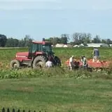 Relleke Pumpkin Patch photo