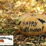 Relleke Pumpkin Patch photo