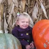 Relleke Pumpkin Patch photo