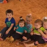 Relleke Pumpkin Patch photo