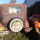 Relleke Pumpkin Patch photo