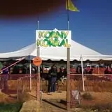 Relleke Pumpkin Patch photo